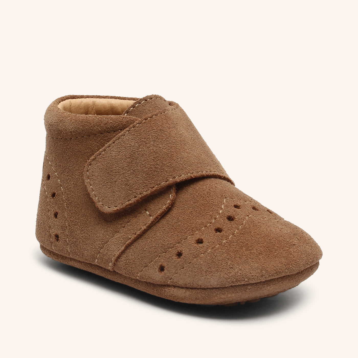 bisgaard petit camel