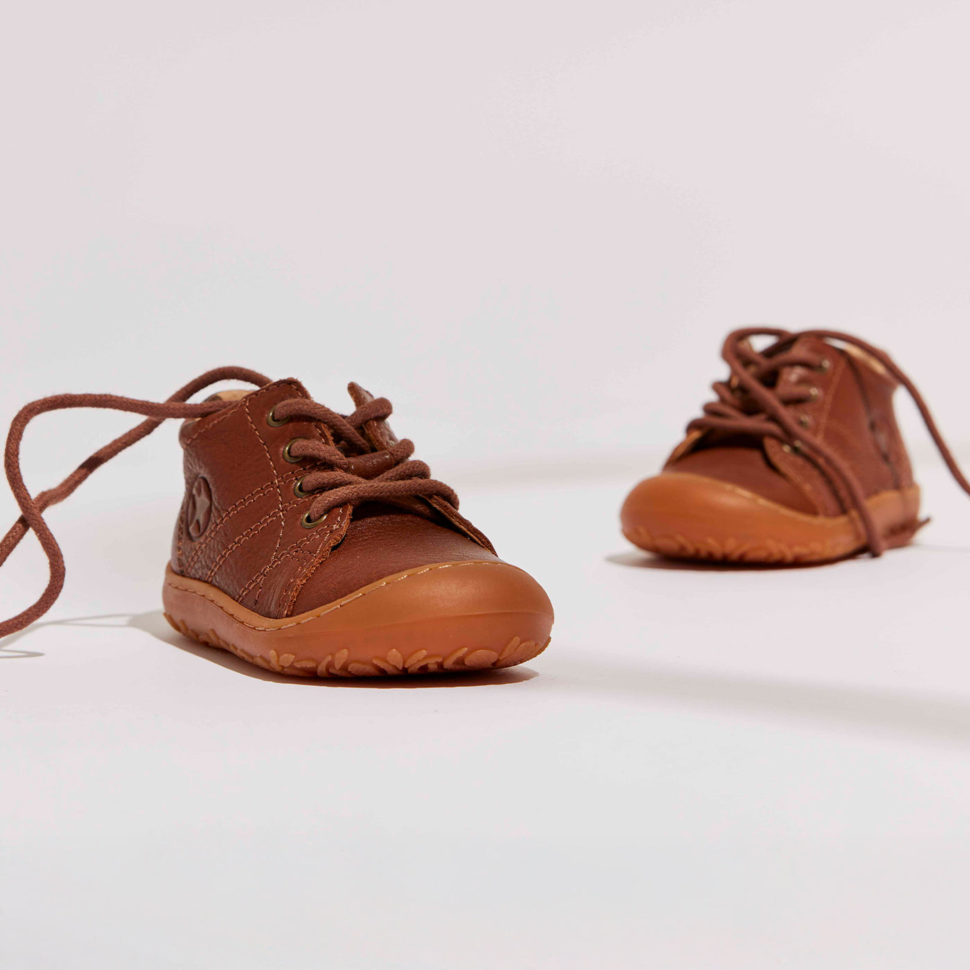 bisgaard hale l brandy