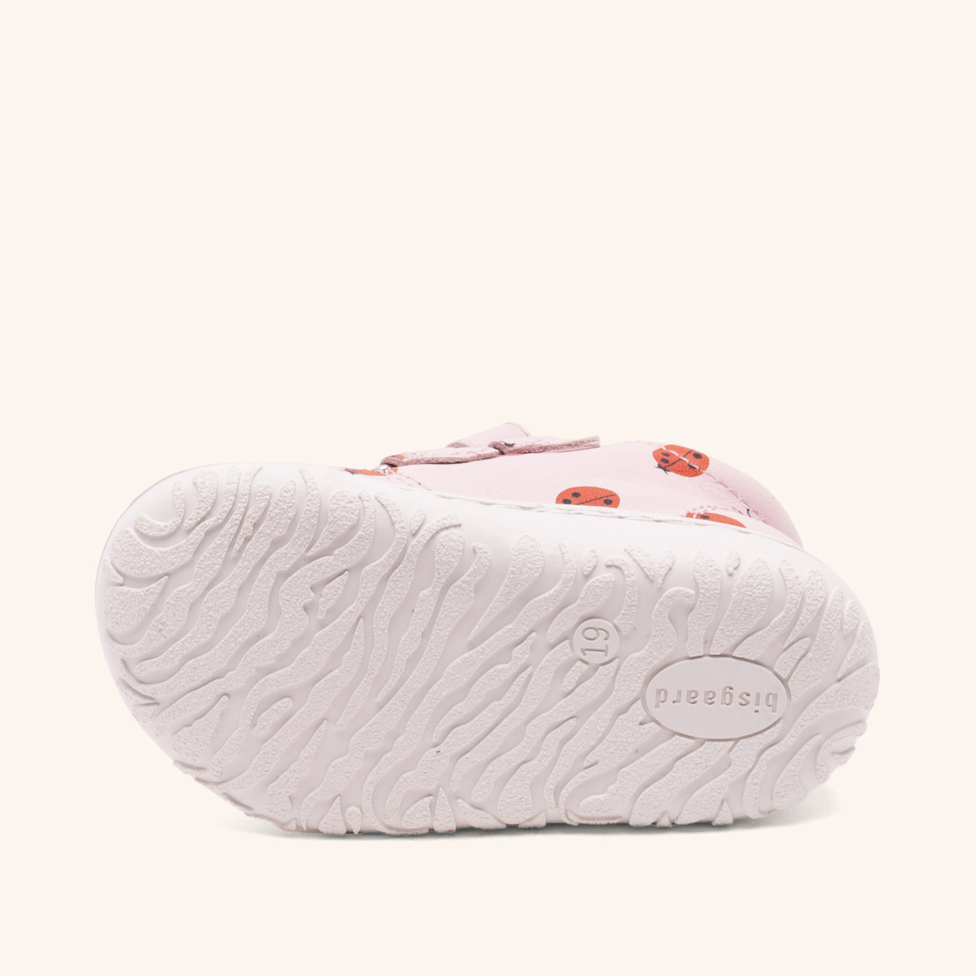 bisgaard hale v lady bugs