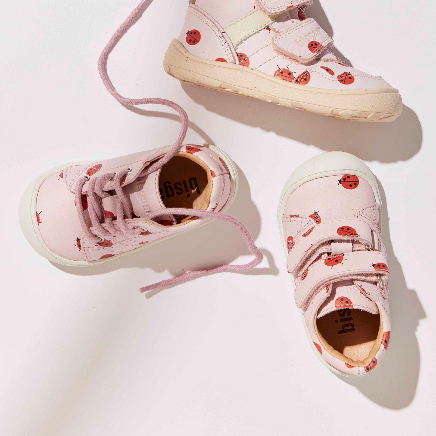 bisgaard hale v lady bugs