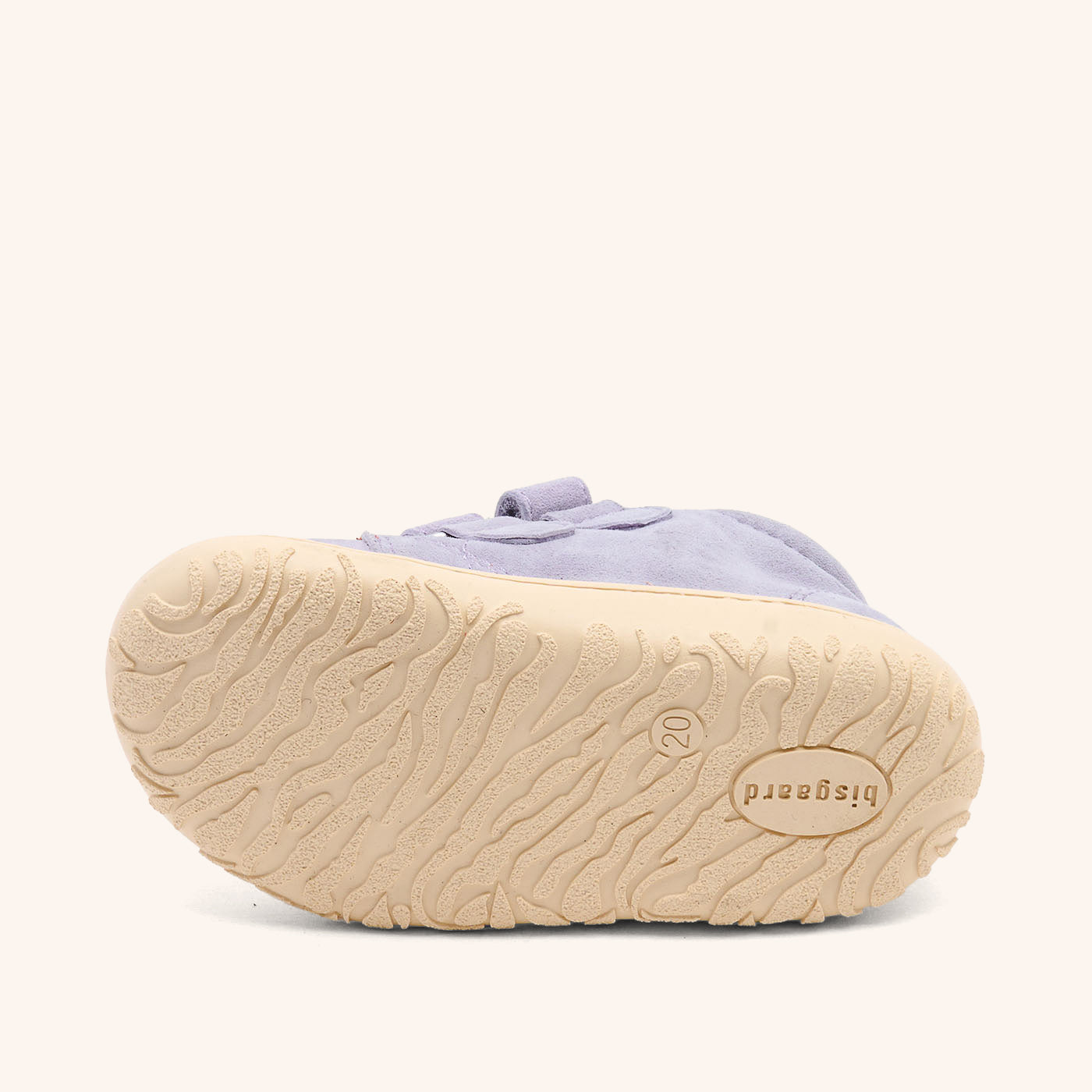 bisgaard hale v violet