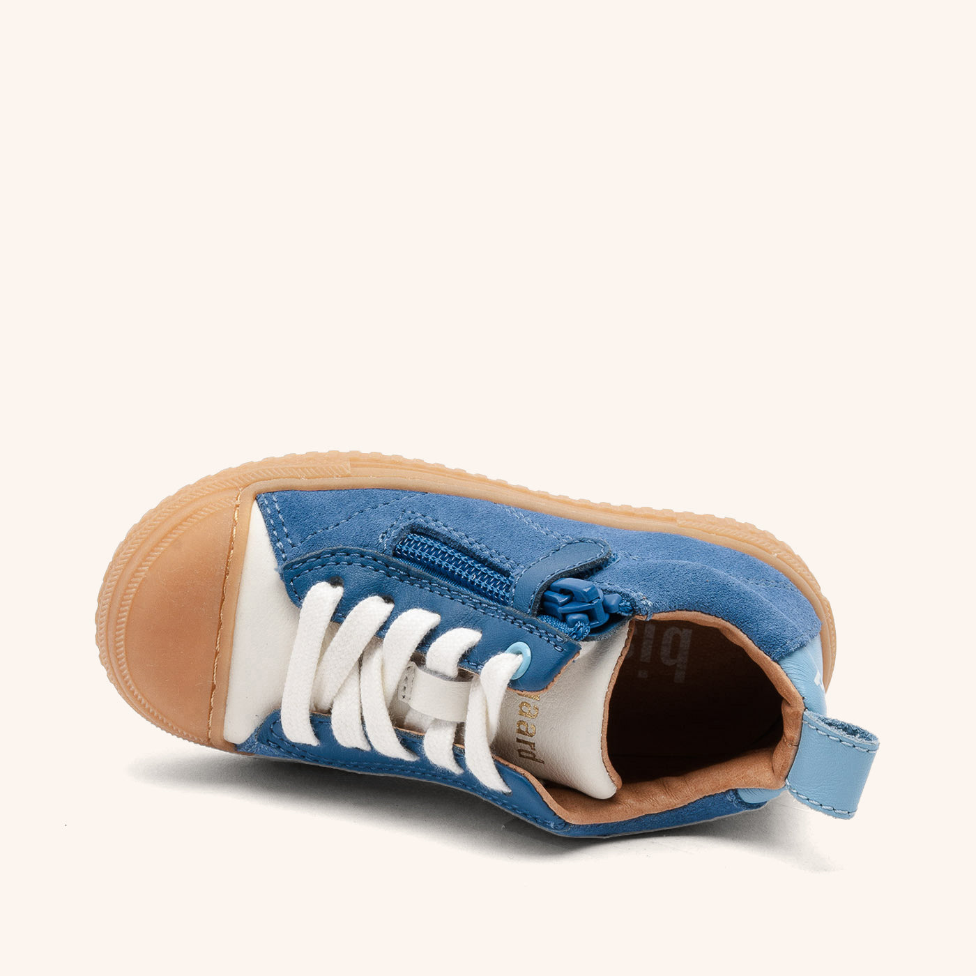 bisgaard sia blue