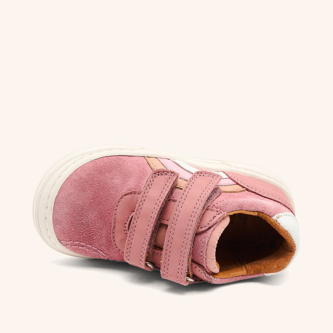 bisgaard rainbow low rose