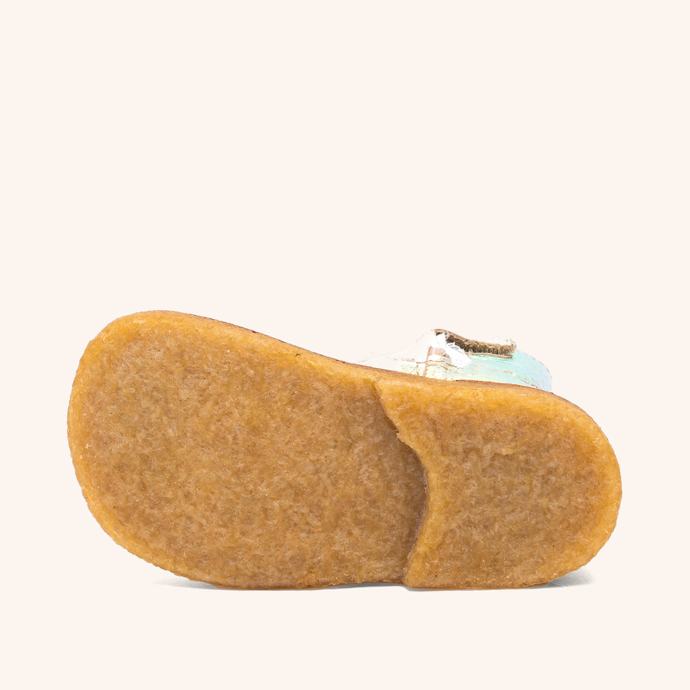 bisgaard elke tex galaxy