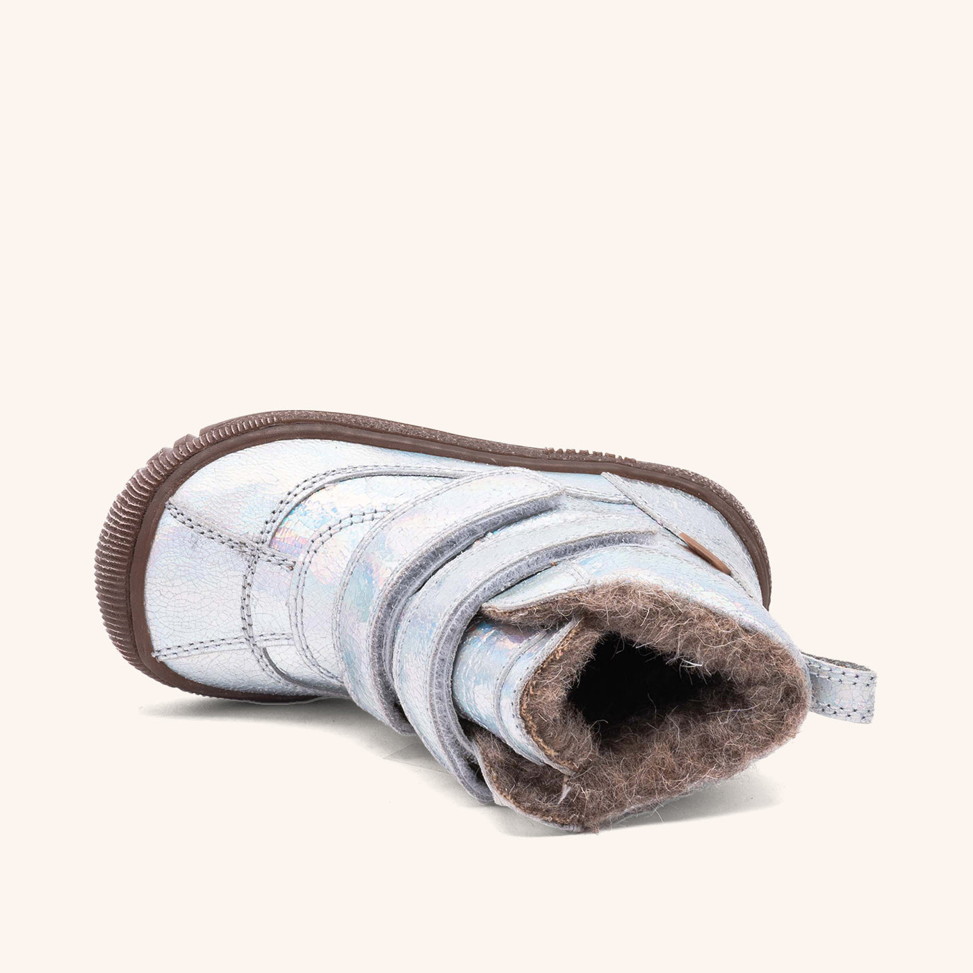 bisgaard ellis tex galaxy