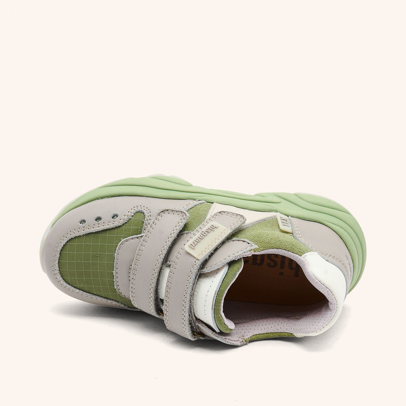 bisgaard herle tex sage