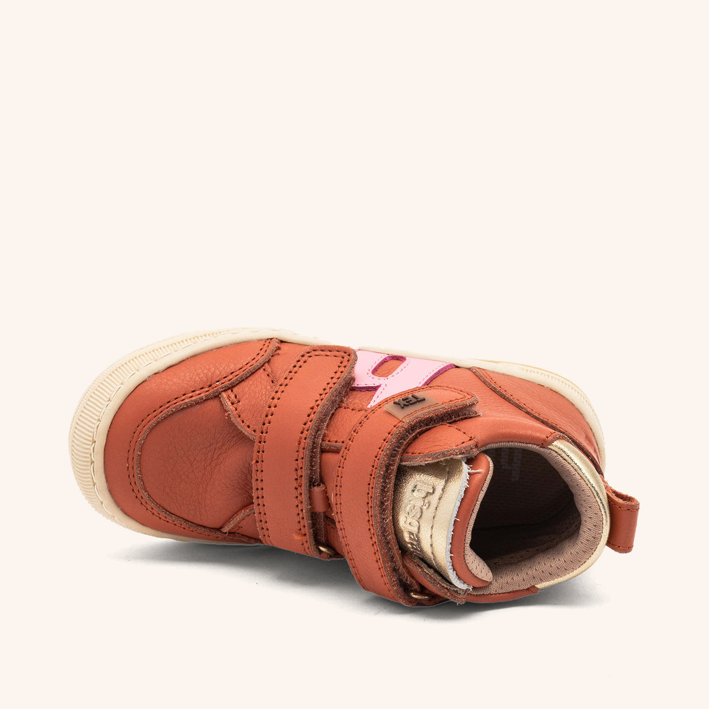 bisgaard dylan tex rose