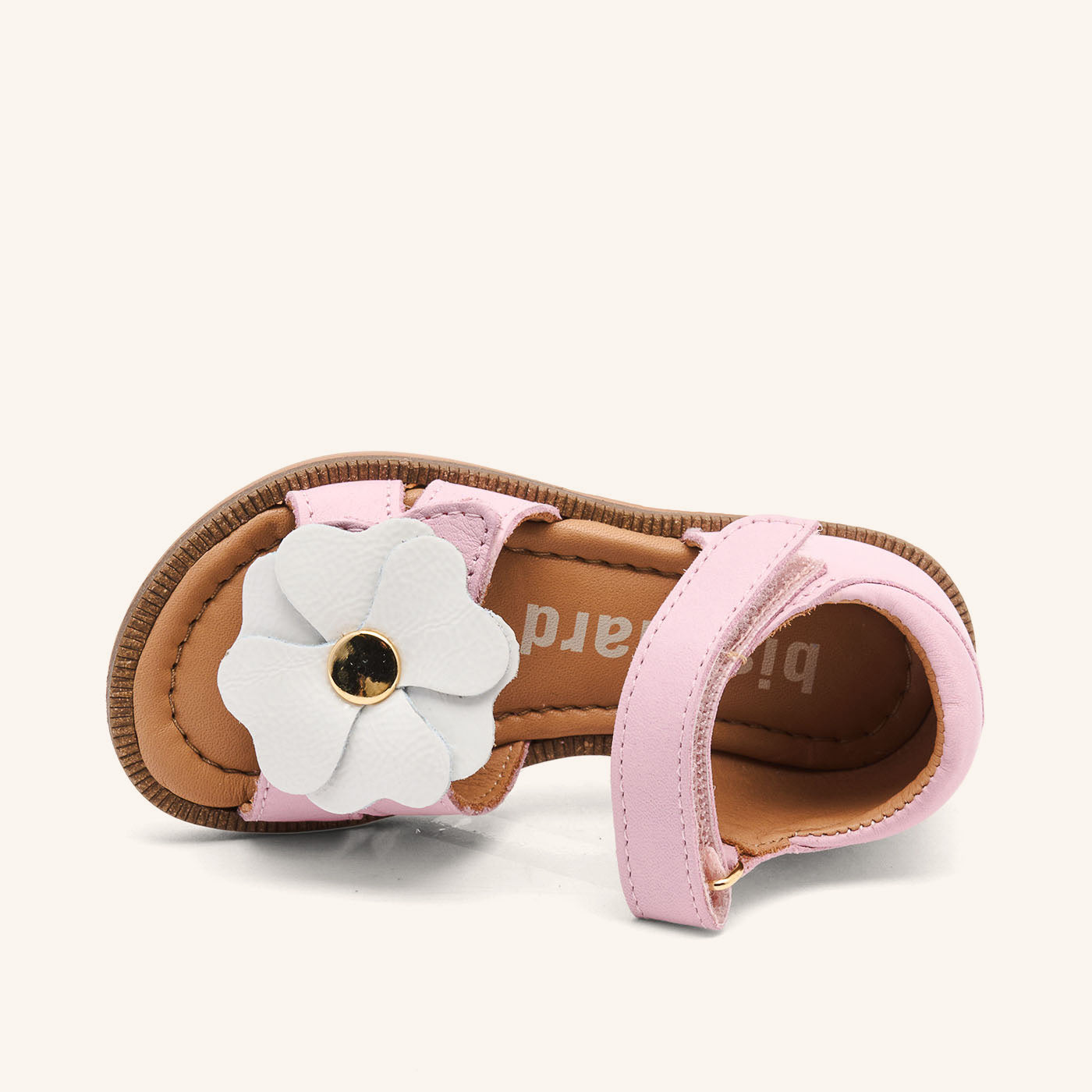 bisgaard barbara rose