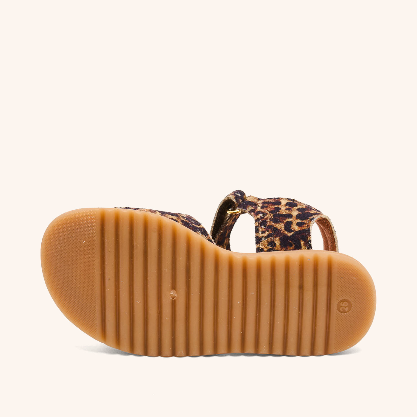 bisgaard andrea leopard