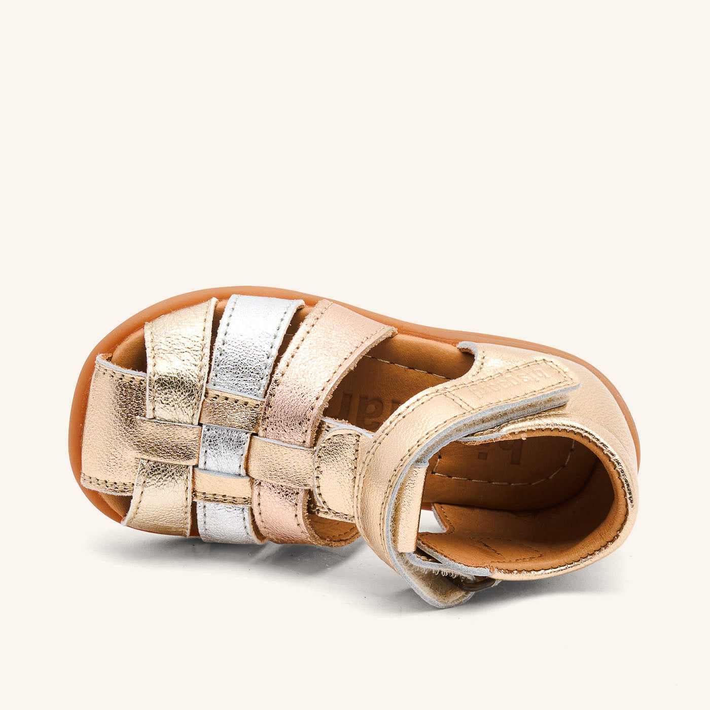 bisgaard carly champagne