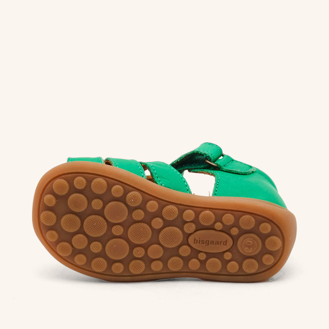 bisgaard carly green