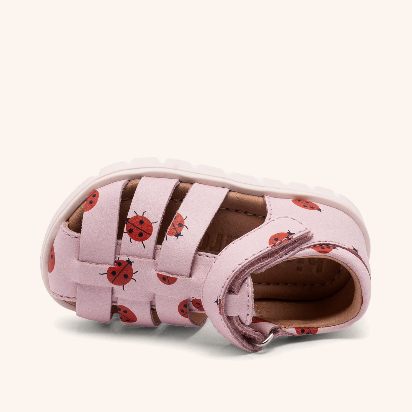 bisgaard beka s lady bugs