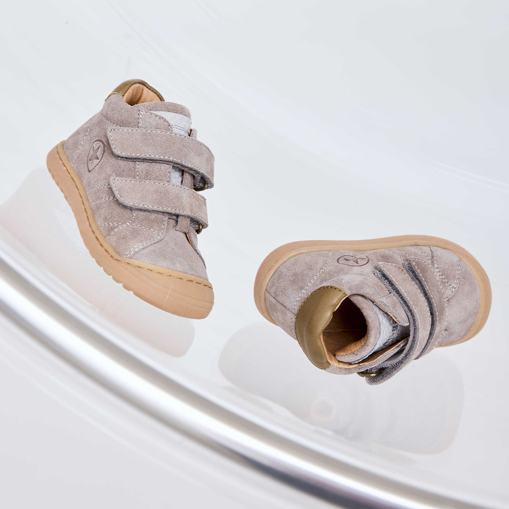 bisgaard thor v grey