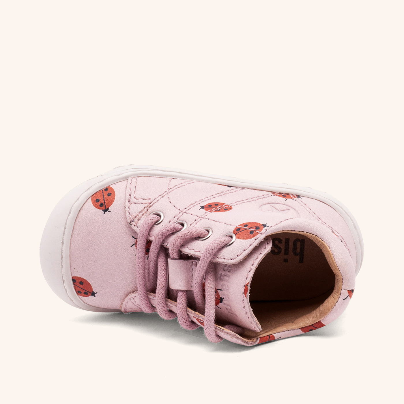 bisgaard hale l lady bugs