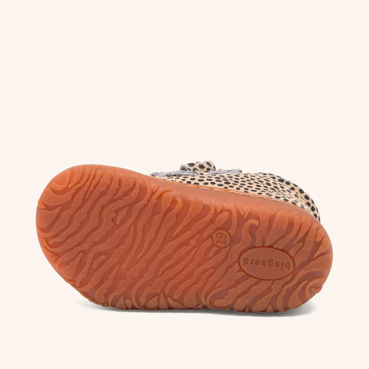 bisgaard hale v black dots