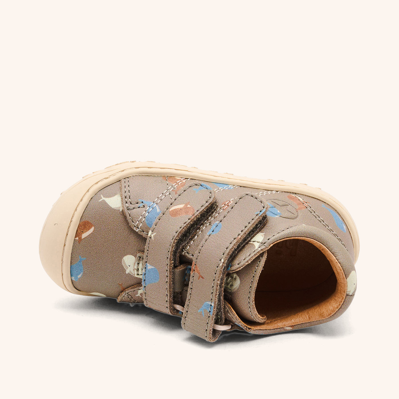 bisgaard hale v whale