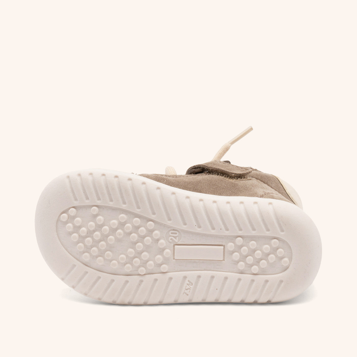 bisgaard thor z elephant