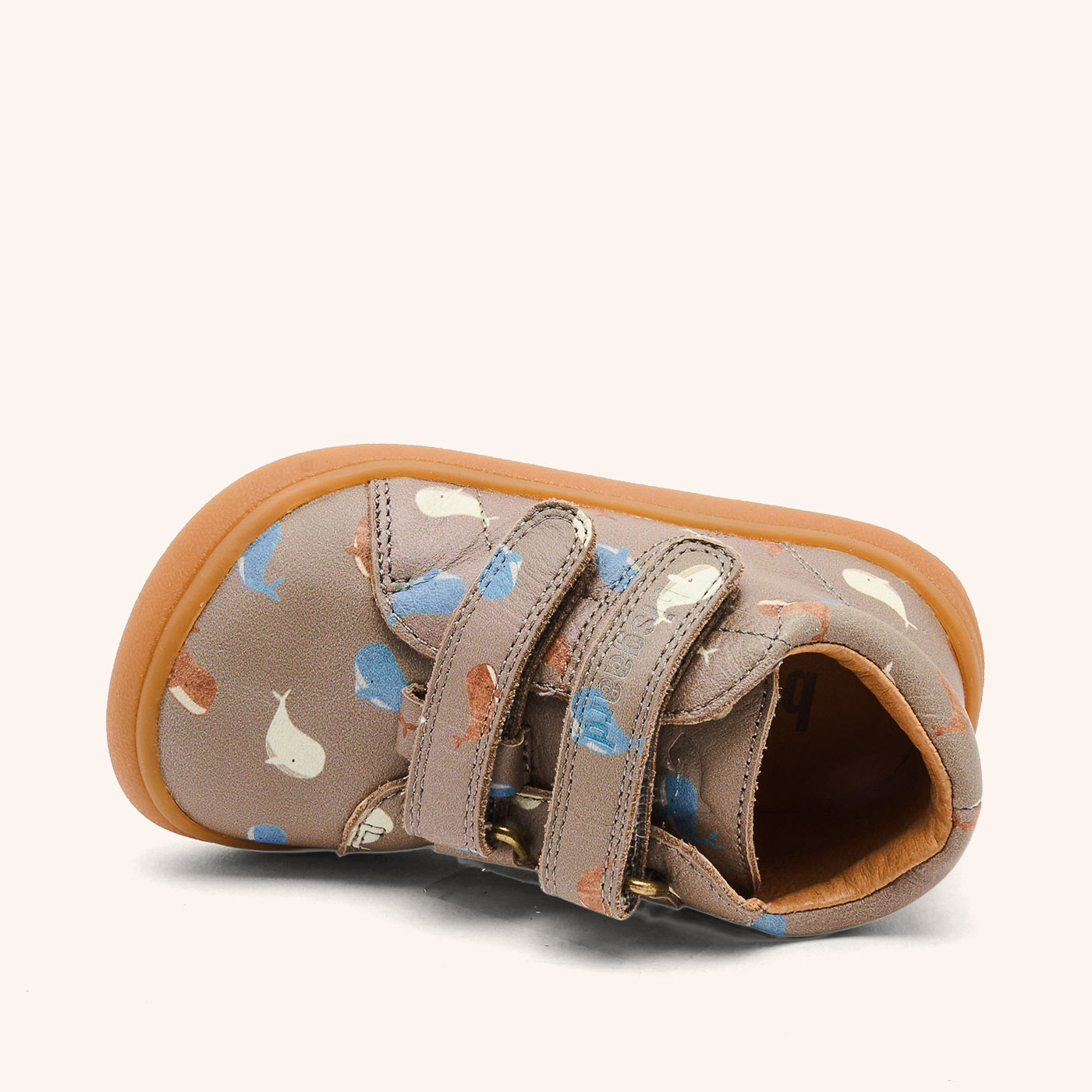 bisgaard barefoot dex whale