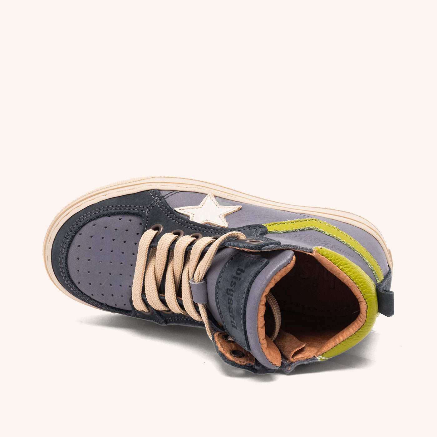 bisgaard isak grey