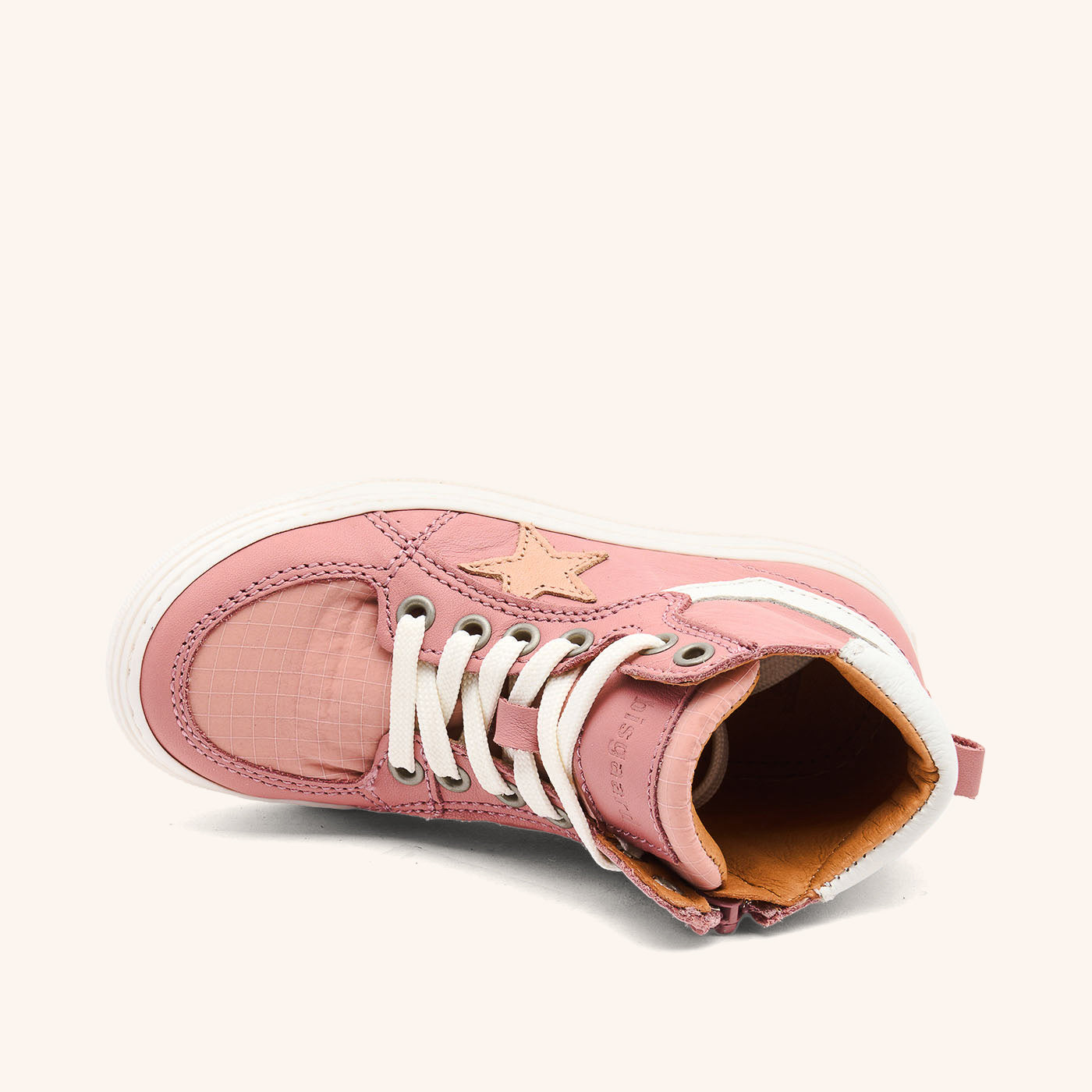 bisgaard isak rose