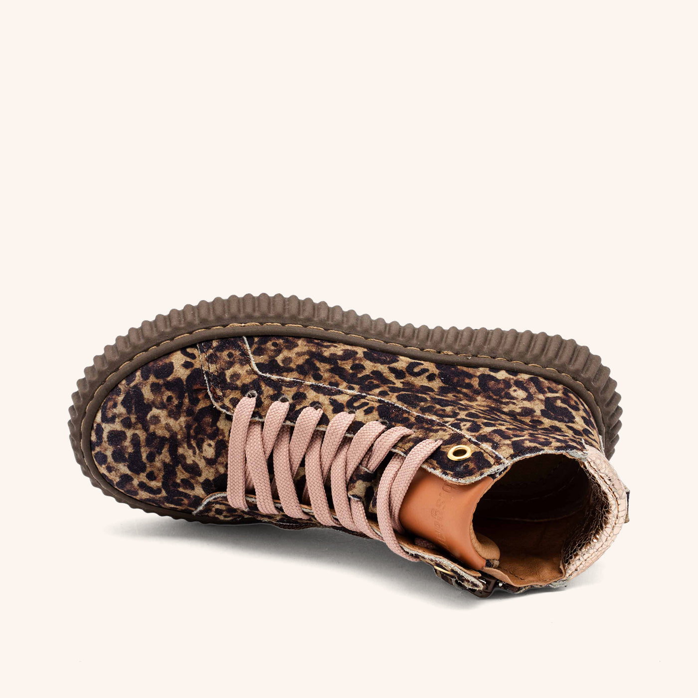 bisgaard debbie l leopard