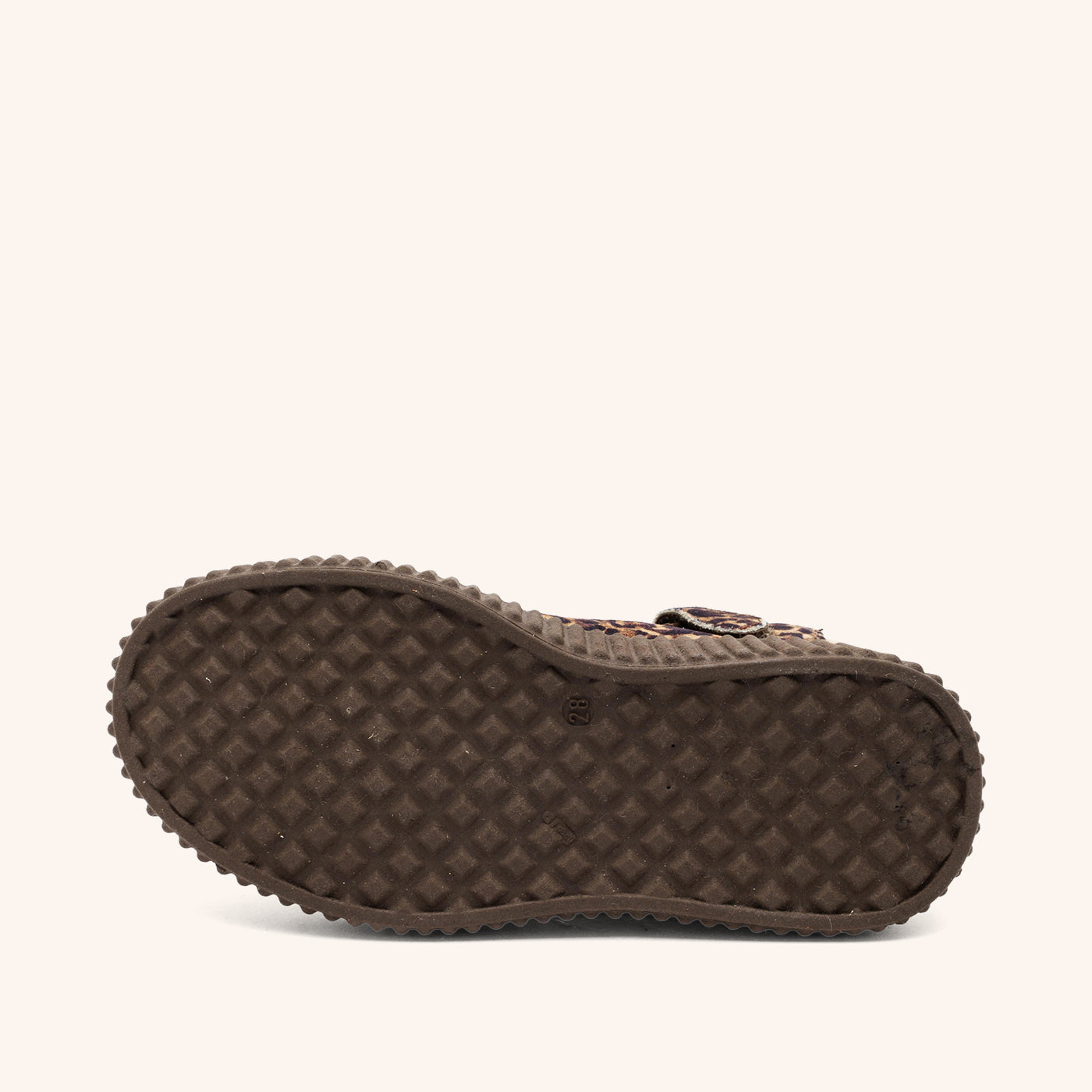 bisgaard debbie l leopard