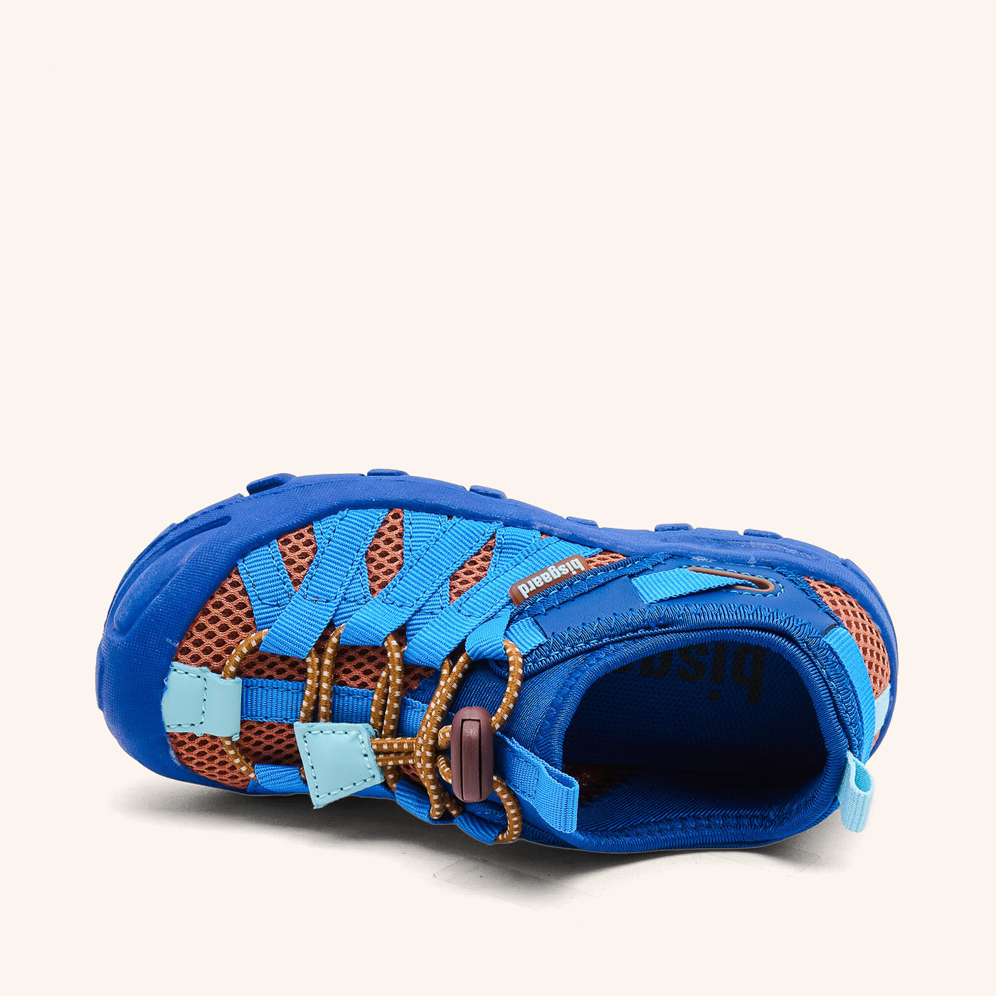 bisgaard zion cobalt