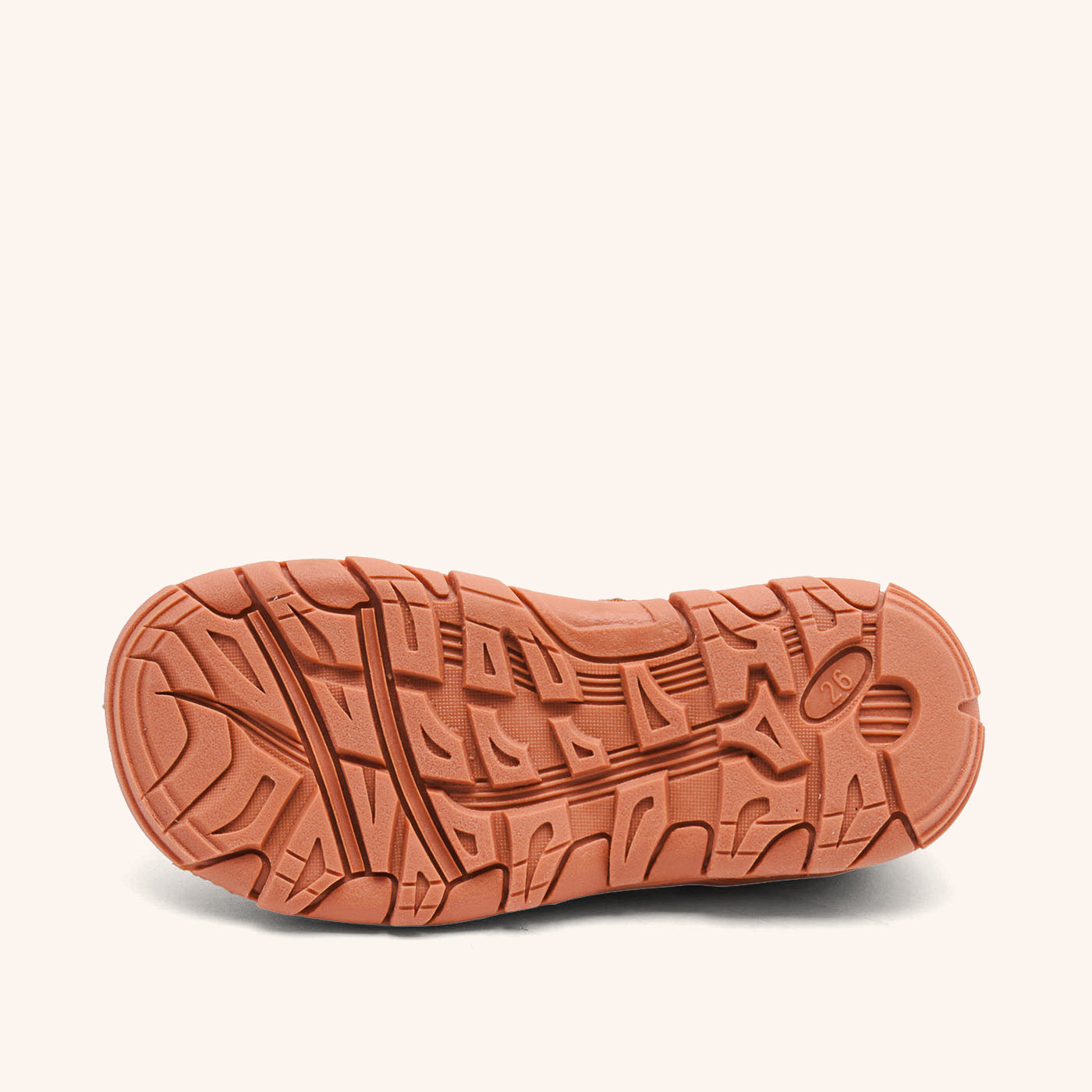 bisgaard zion cinnamon