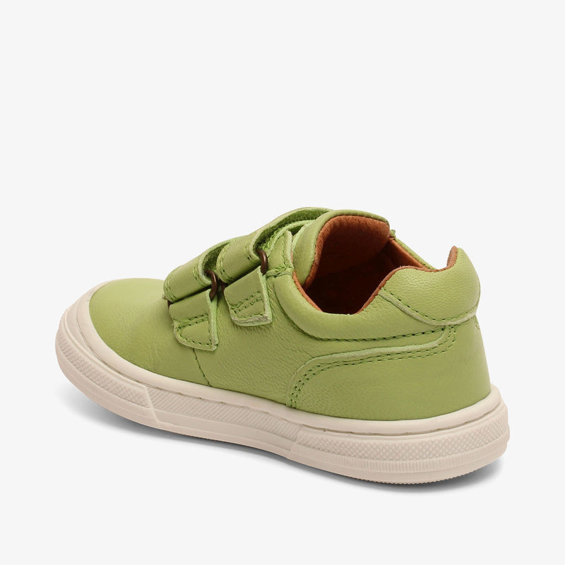 bisgaard rainbow low green