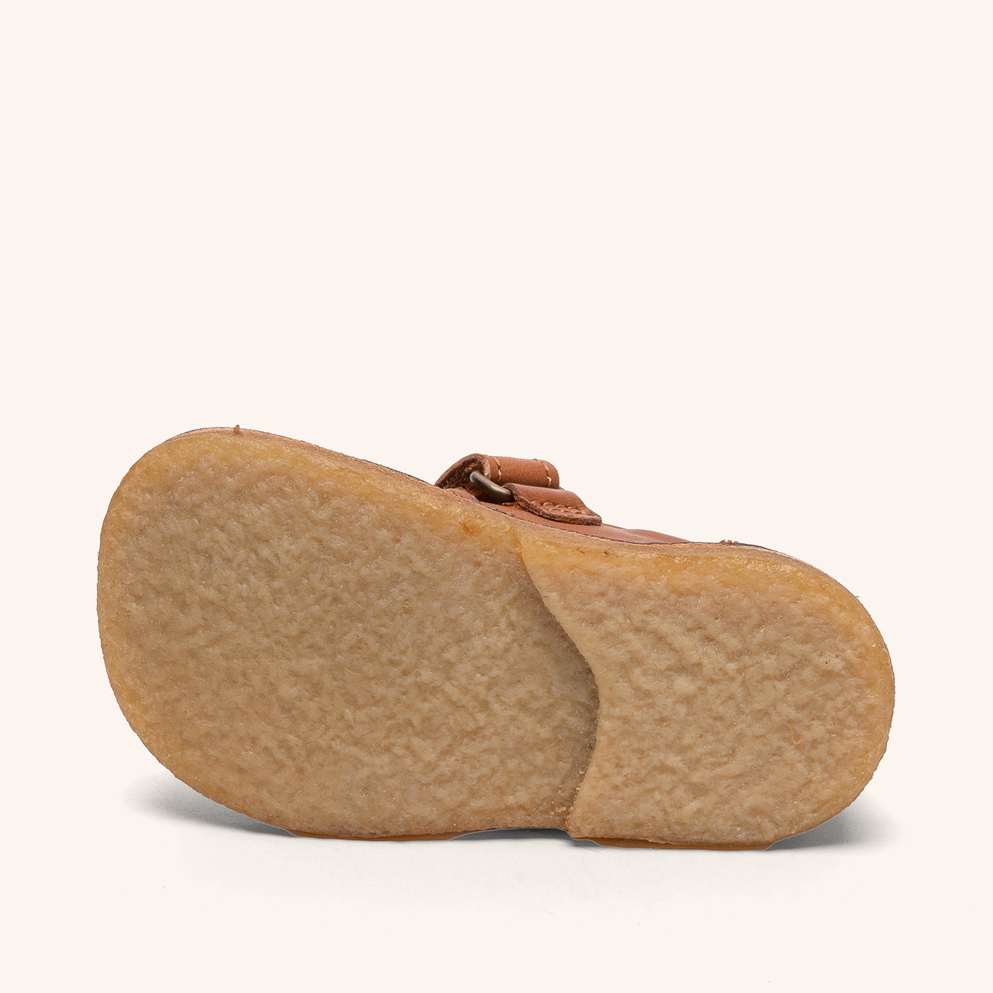 bisgaard holden v cognac