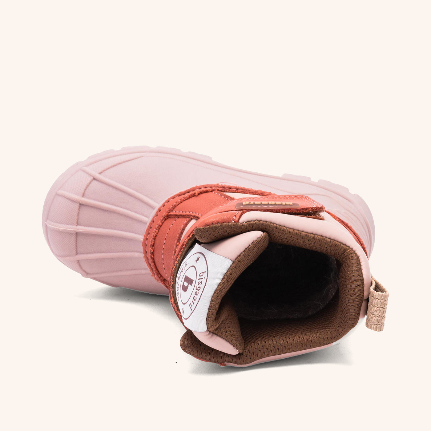bisgaard pixie rose