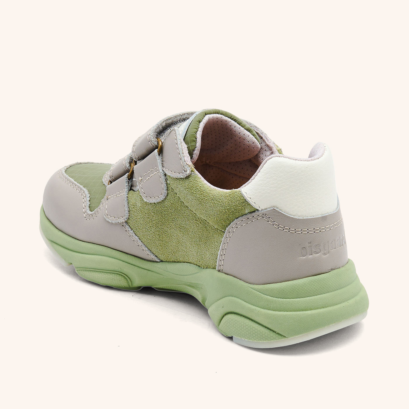 bisgaard herle tex sage