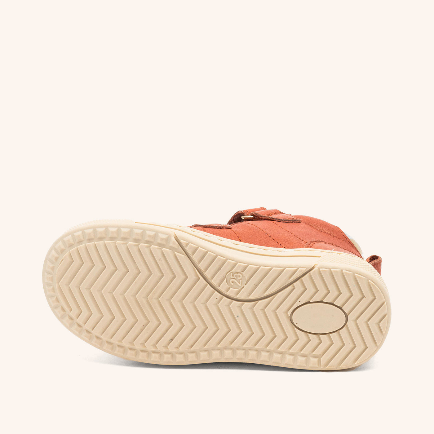 bisgaard dylan tex rose