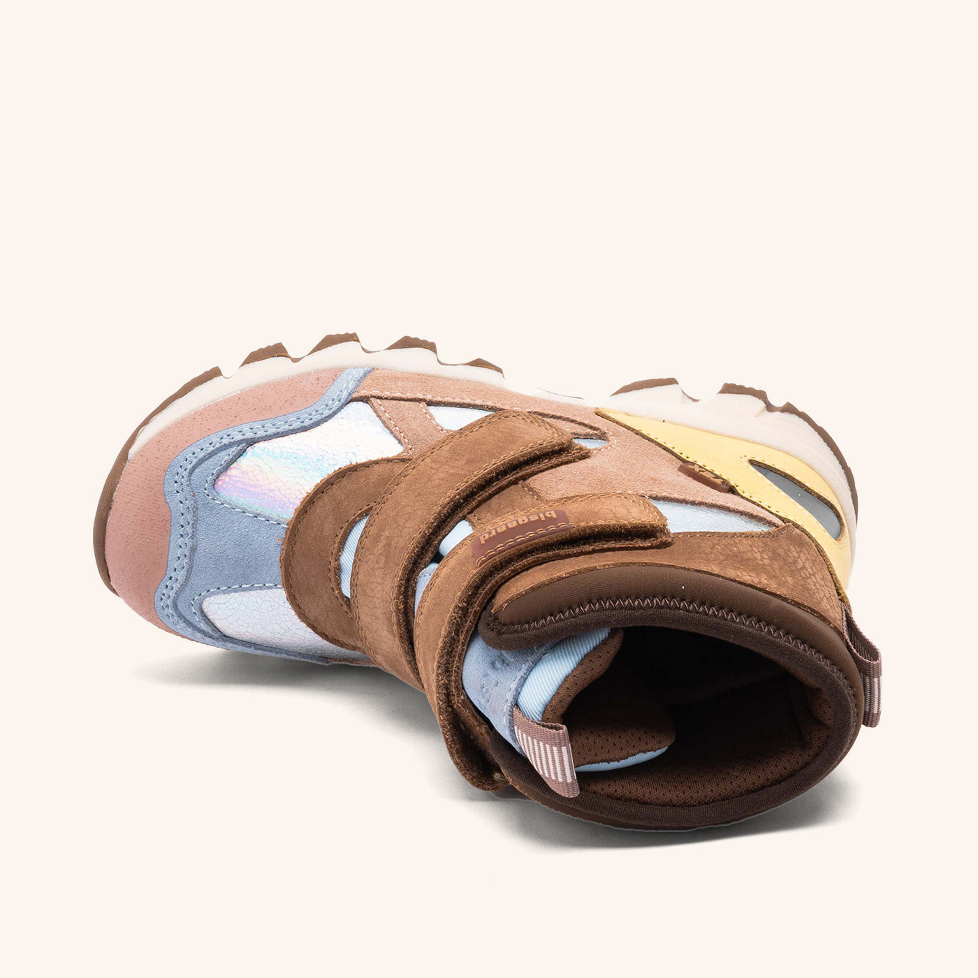 bisgaard edon tex galaxy