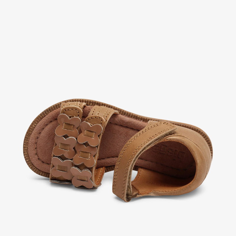 bisgaard cana c brown