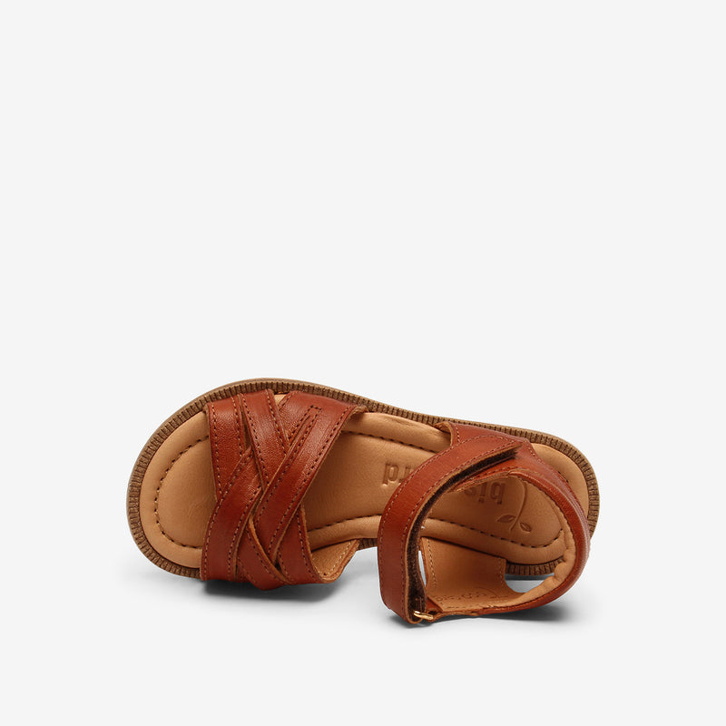 bisgaard becca o cognac