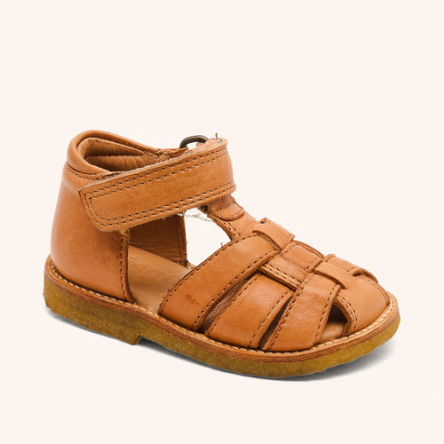 bisgaard ami cognac