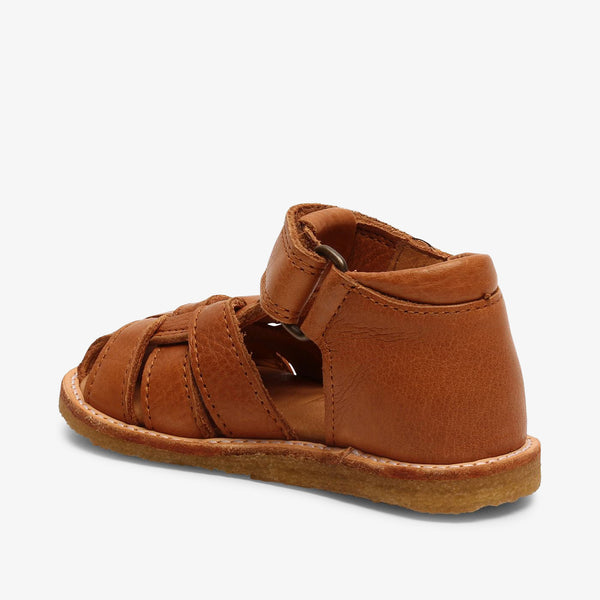bisgaard ami cognac