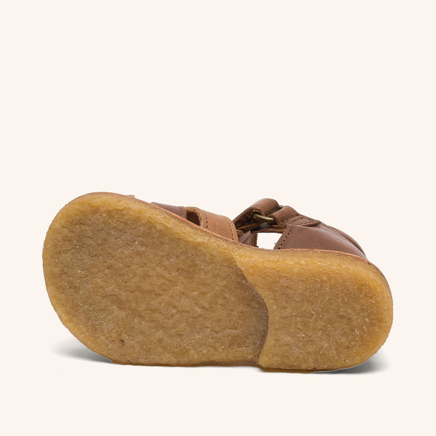 bisgaard bjørn brown