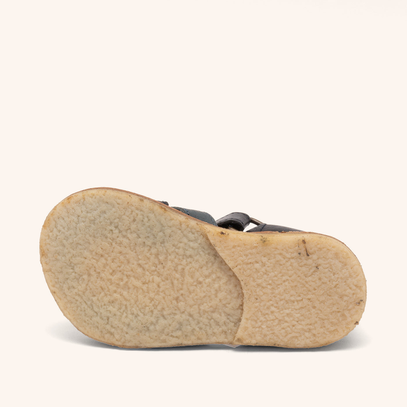 bisgaard bjørn night