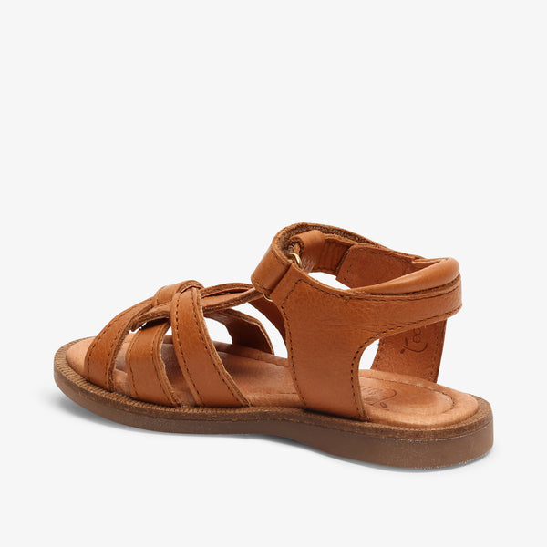 bisgaard bex s cognac