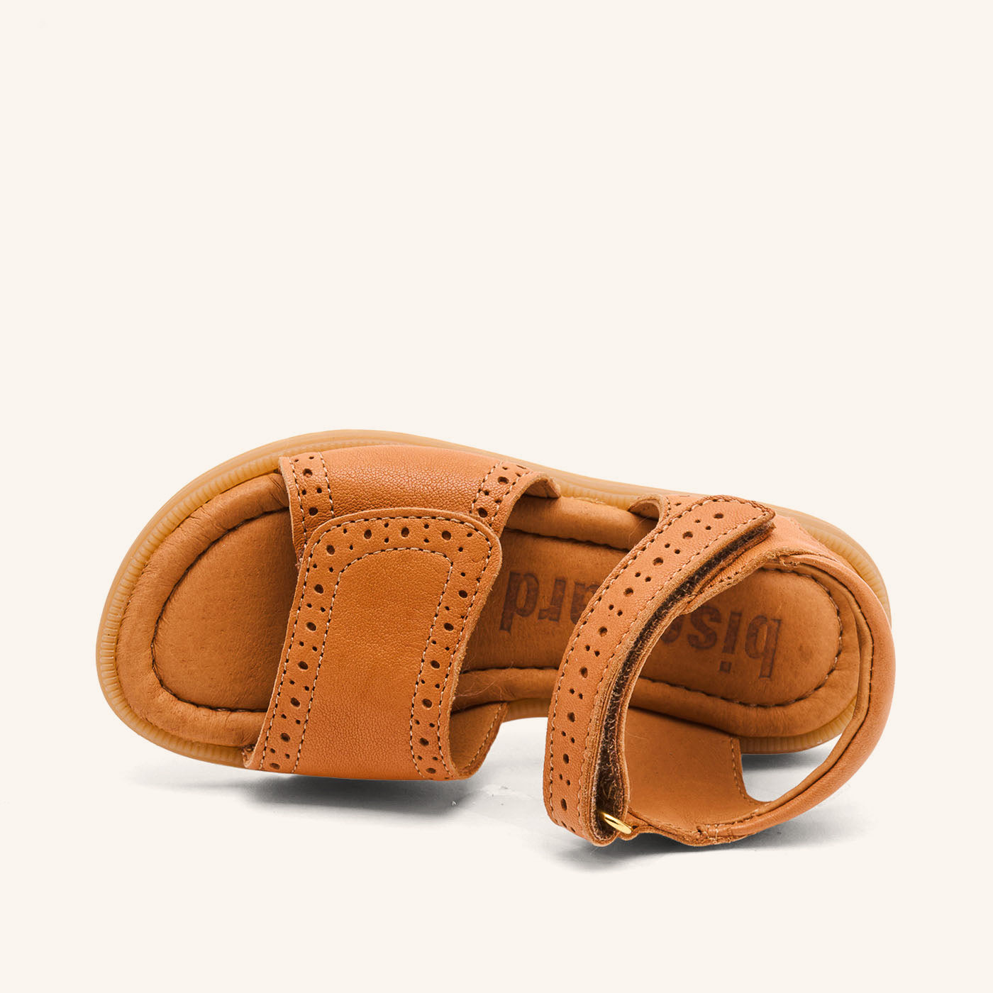 bisgaard andrea cognac