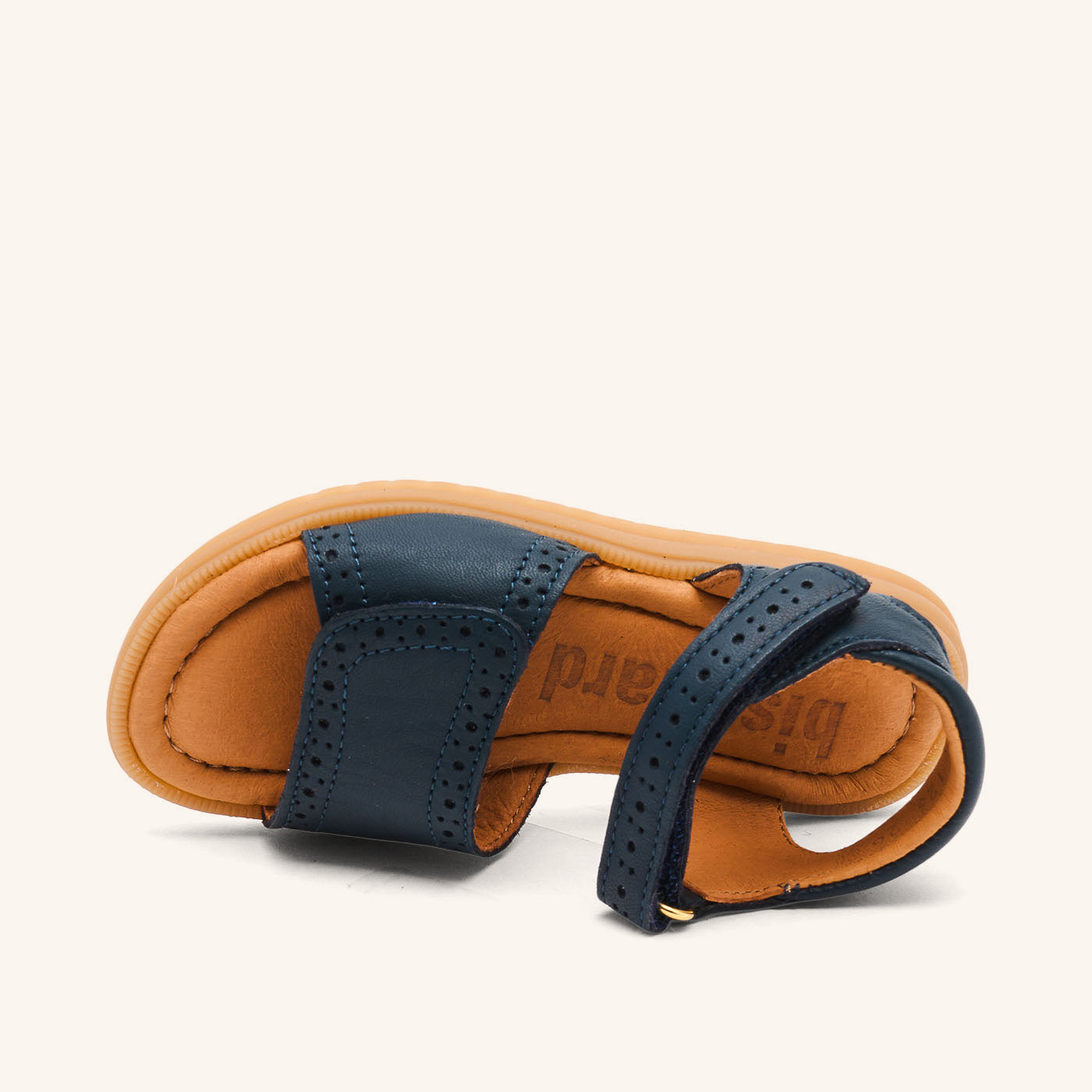 bisgaard andrea marine