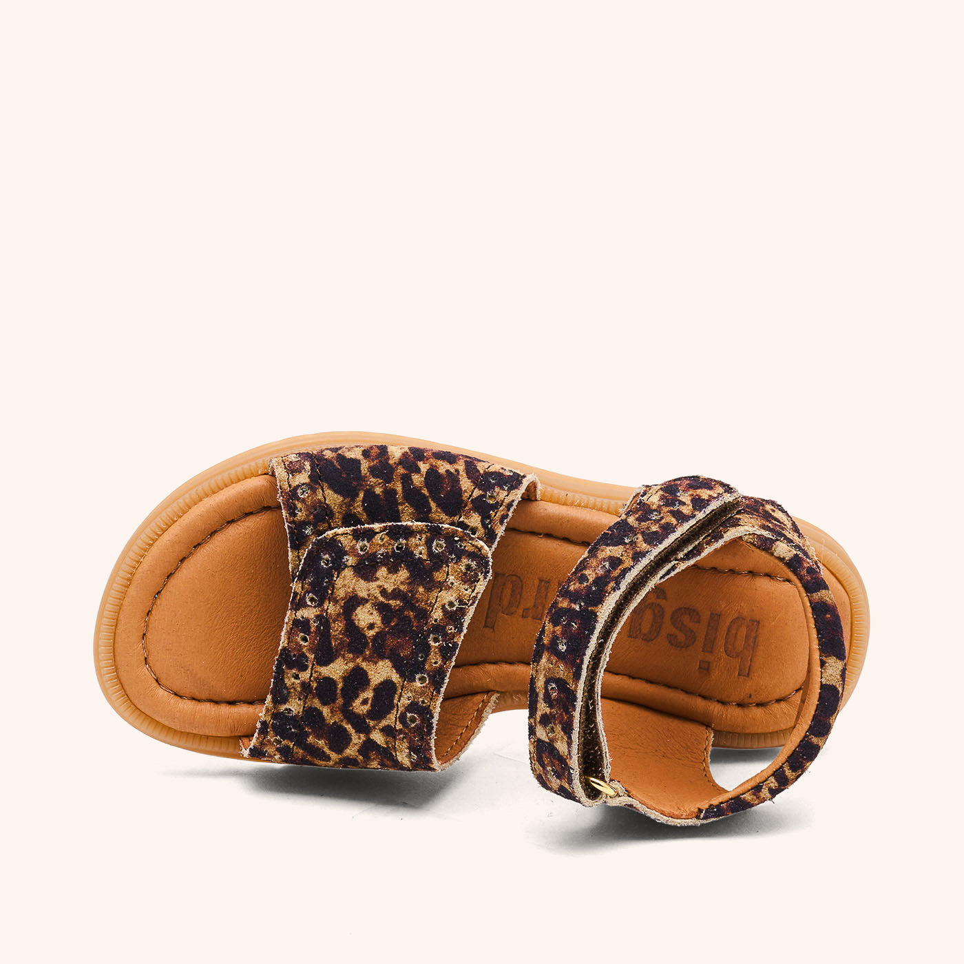 bisgaard andrea leopard