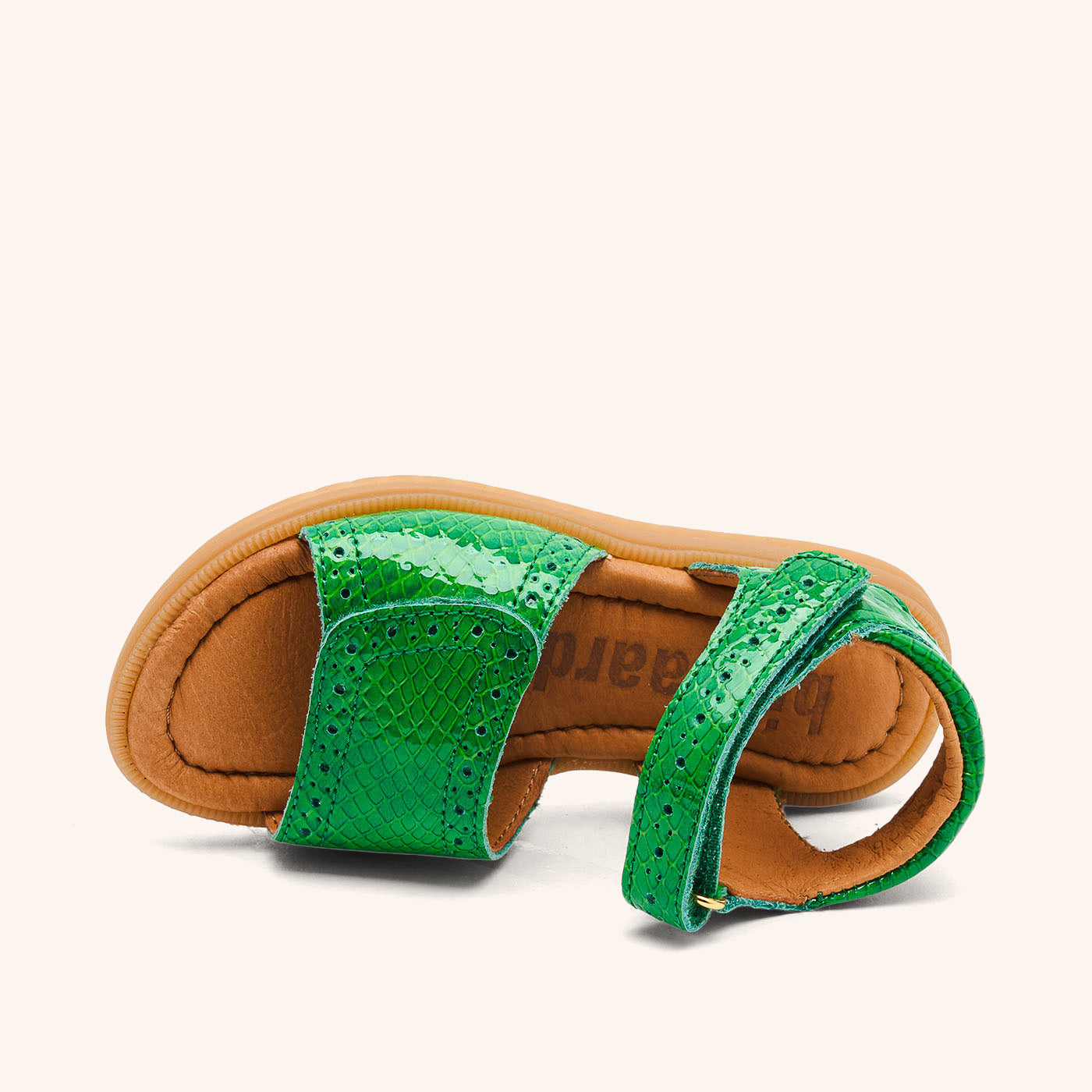 bisgaard andrea green croco