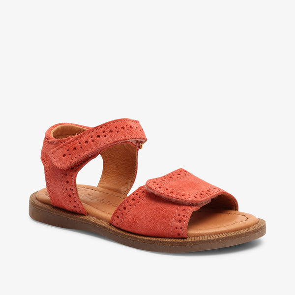 bisgaard andrea s coral