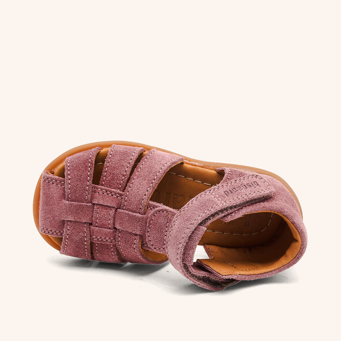 bisgaard carly violet