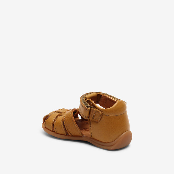 bisgaard carly mustard