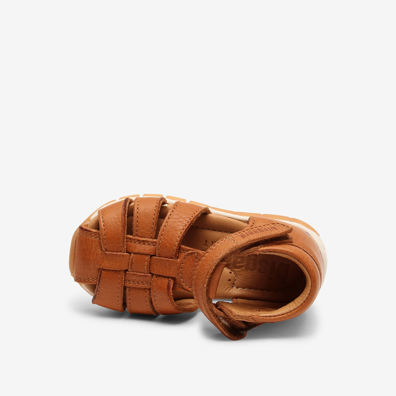 bisgaard billie brandy
