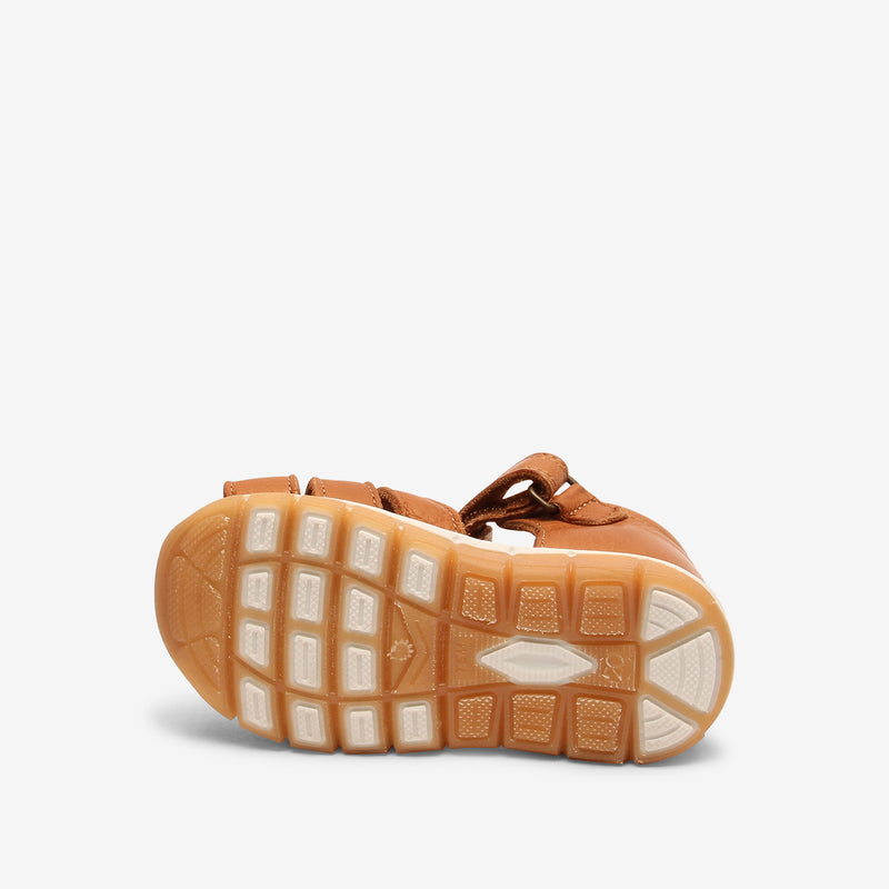 bisgaard billie brandy